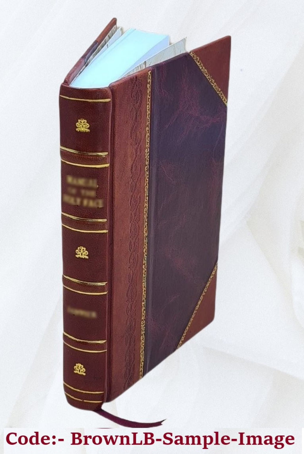 Renaissance et Réforme: Érasmus, Thomas Morus-Mélanchthon Volume 2 1877 [Leather Bound] I738