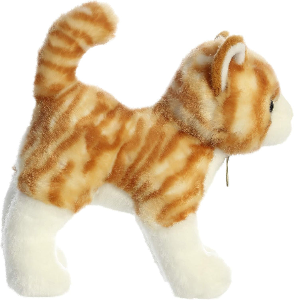 10 Orange Tabby Cat Q101