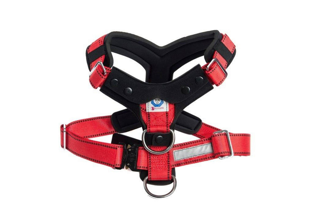 Comfort Safety Dog Harness G1611
