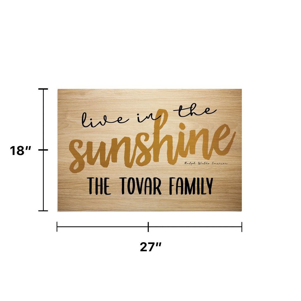 Light Brown Rectangular Non Slip Doormat X296
