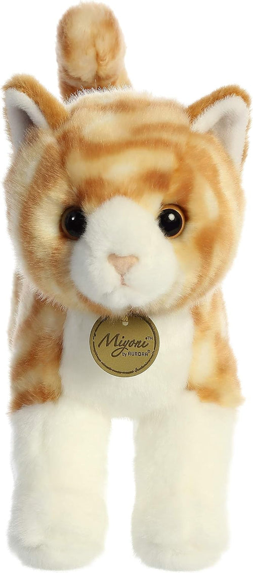 10 Orange Tabby Cat Q101