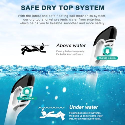 Full Face Snorkel Mask with Dry Top Breathing System and Detachable Camera Mount S25475