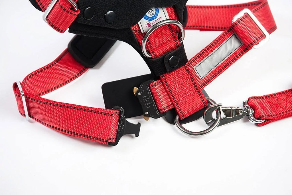 Comfort Safety Dog Harness G1611