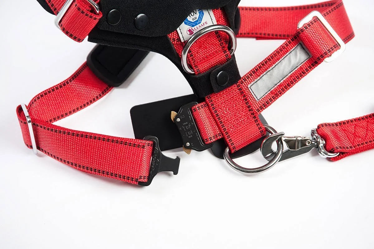 Comfort Safety Dog Harness G1611