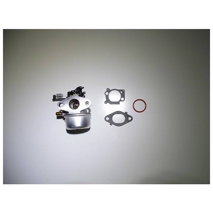 799447 Carburetor Q416