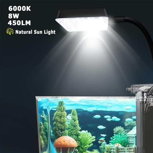 1.5 Gallon Glass Betta Fish Tank with LED Light and Power Filter I770