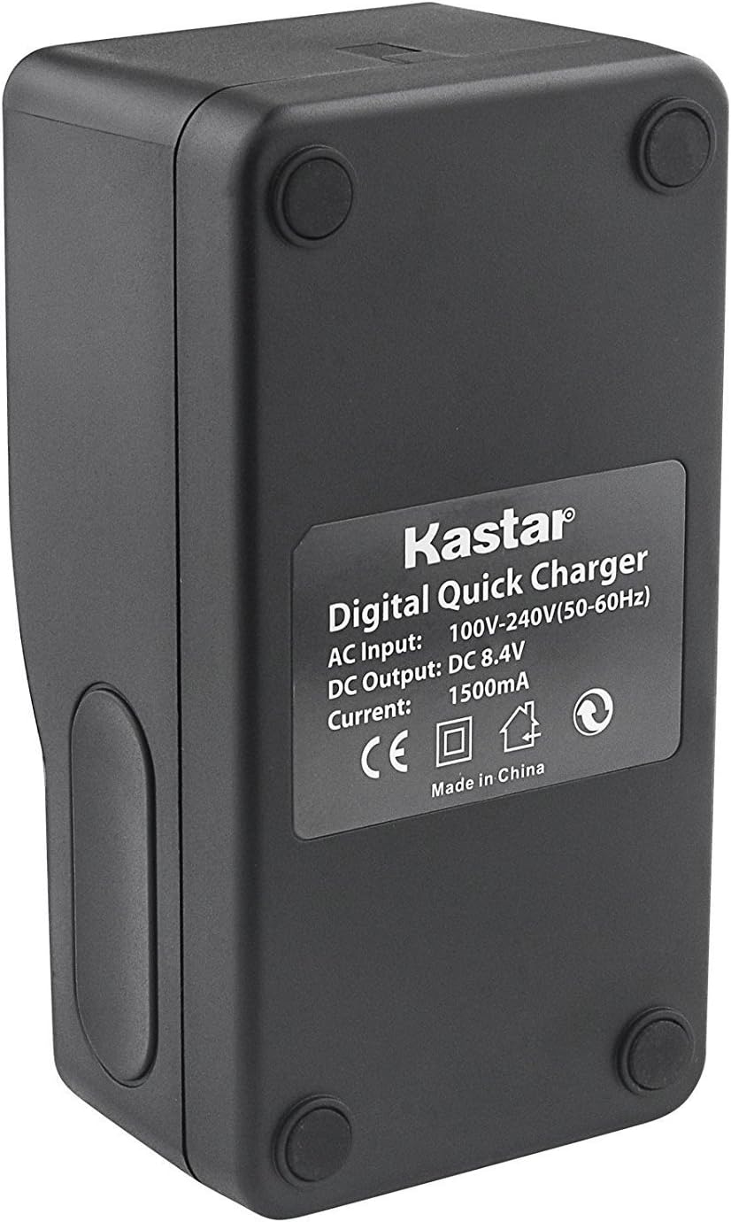LED Super Fast Charger & Camcorder Battery X2 W513349