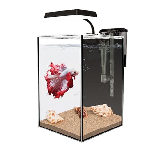 1.5 Gallon Glass Betta Fish Tank with LED Light and Power Filter I770