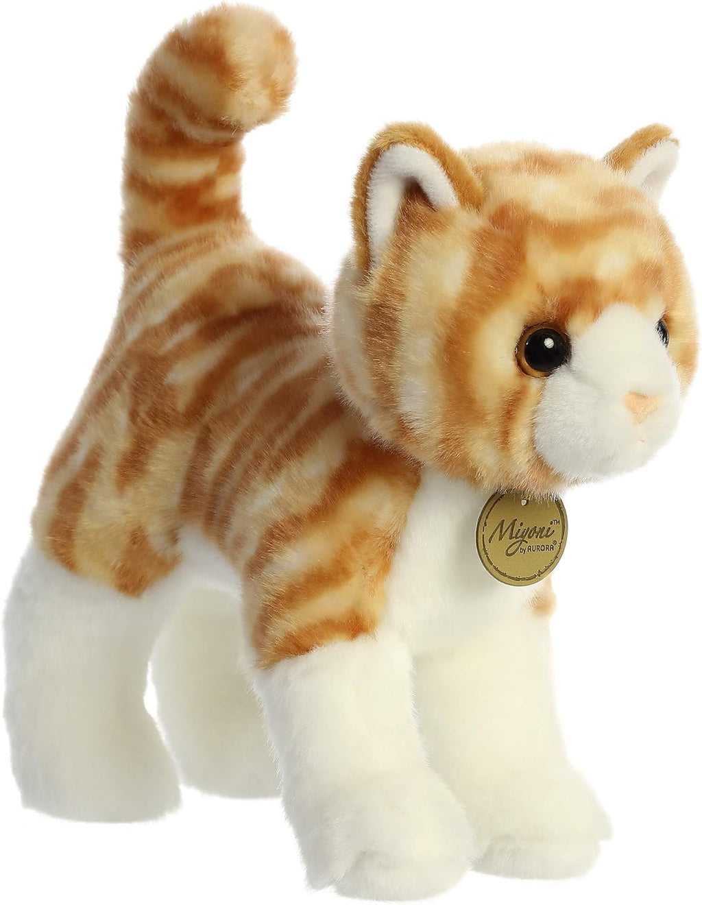 10 Orange Tabby Cat Q101