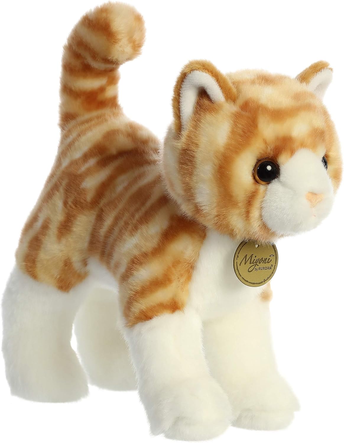 10 Orange Tabby Cat Q101