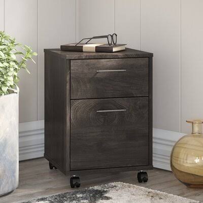 2-Drawer Vertical Filing Cabinet Dark Gray Hickory F155924