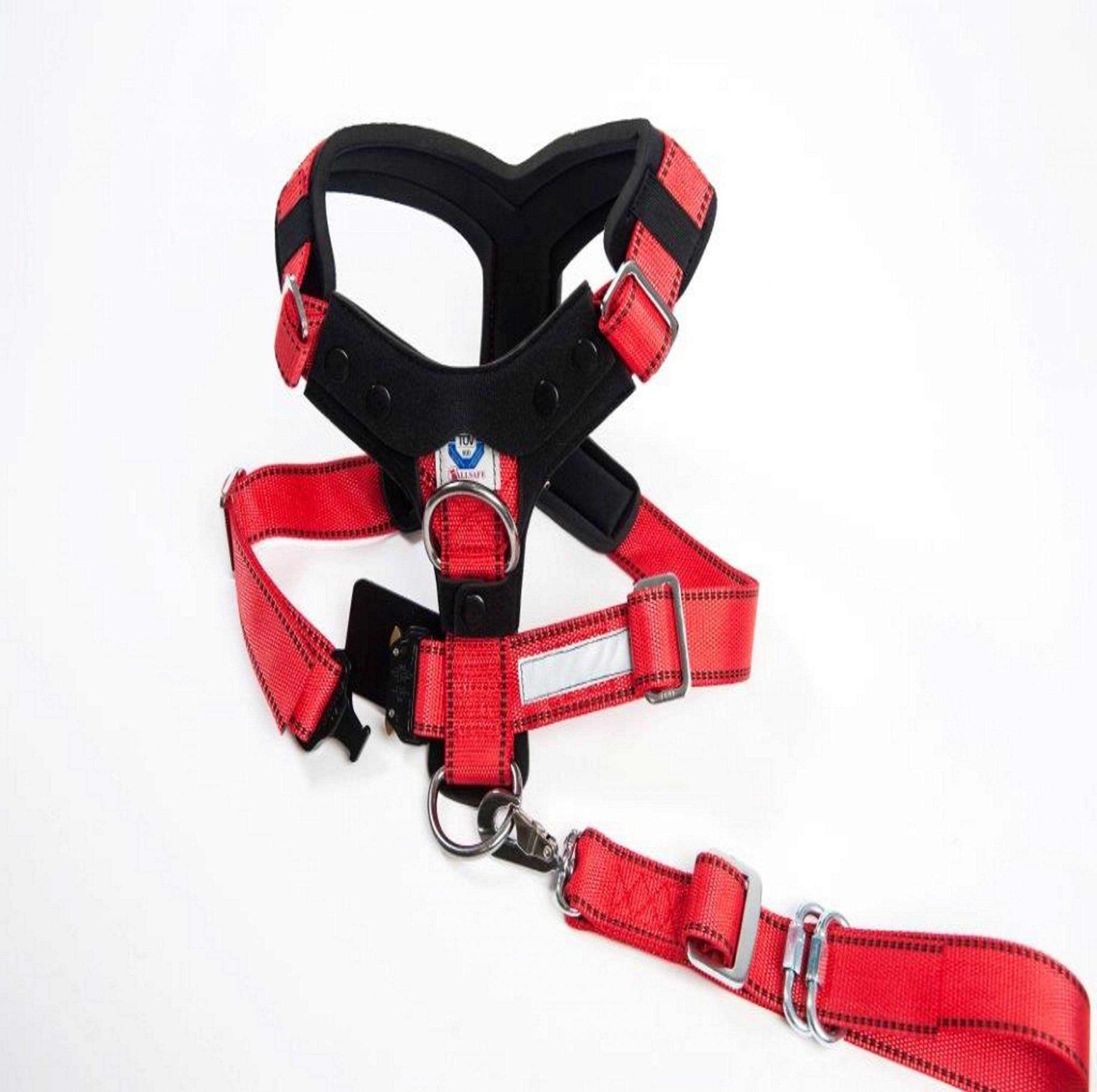Comfort Safety Dog Harness G1611