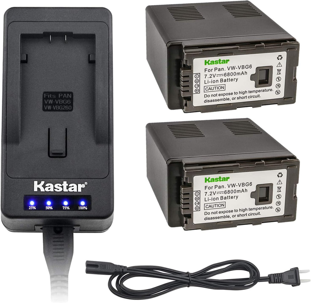 LED Super Fast Charger & Camcorder Battery X2 W513349