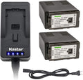 LED Super Fast Charger & Camcorder Battery X2 W513349