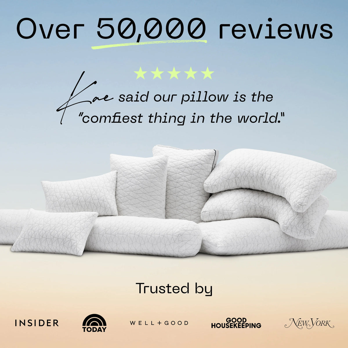 Queen Size Loft Pillow L3468