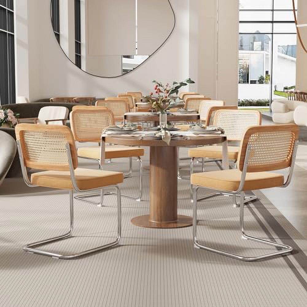 Dark Green Teddy Velvet Armless Cane Rattan Dining Chairs Set of 2 T638749