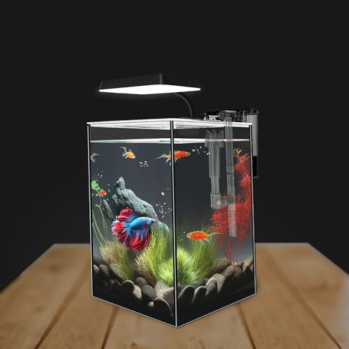 1.5 Gallon Glass Betta Fish Tank with LED Light and Power Filter I770