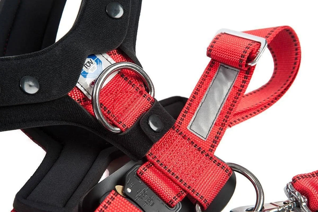 Comfort Safety Dog Harness G1611