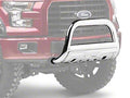 Stainless Steel Bull Bar for Ford F-150 C5415