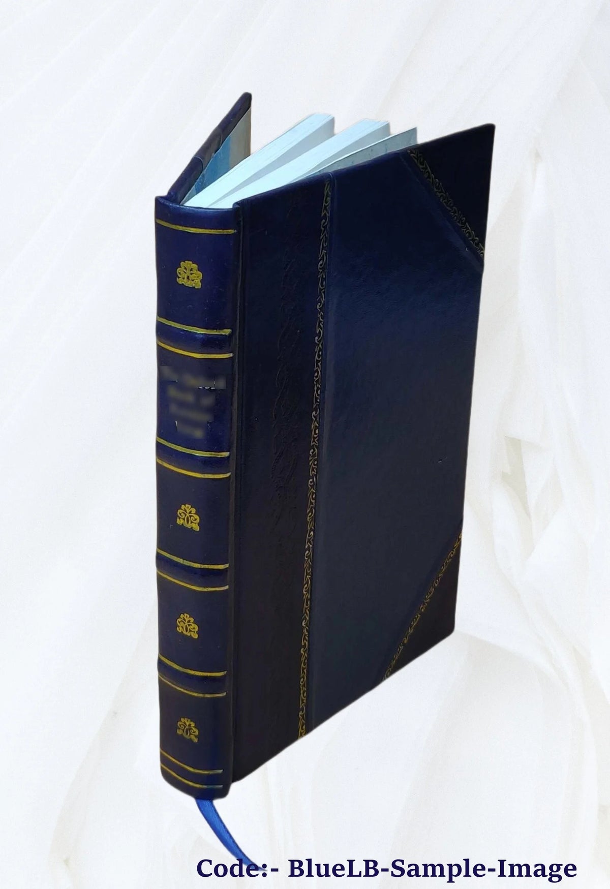 Renaissance et Réforme: Érasmus, Thomas Morus-Mélanchthon Volume 2 1877 [Leather Bound] I738