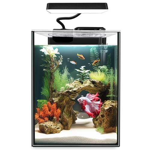 1.5 Gallon Glass Betta Fish Tank with LED Light and Power Filter I770