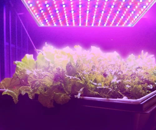 225 LED Blue + Red Indoor Hydroponic Plant Grow Light Panel with Hanging Kit J644665