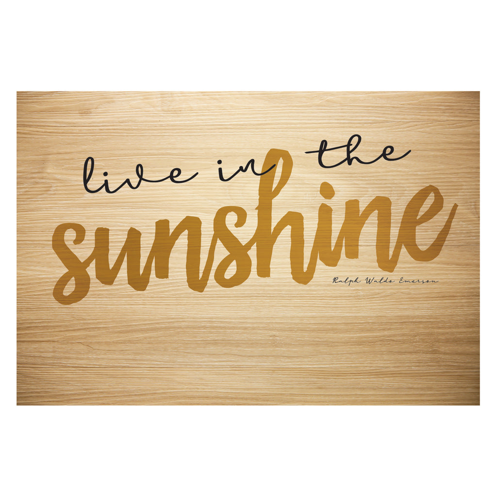 Light Brown Rectangular Non Slip Doormat X296