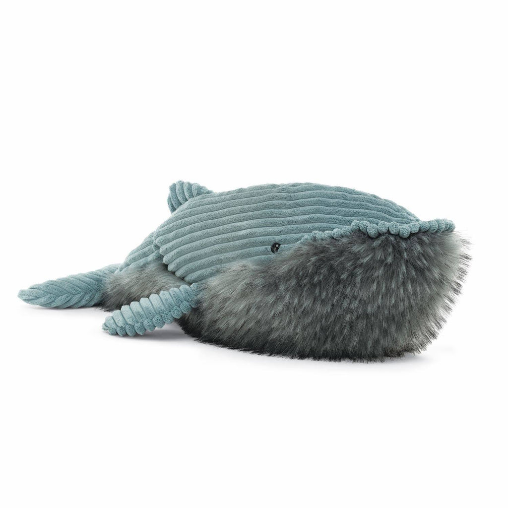 Wiley Whale U733