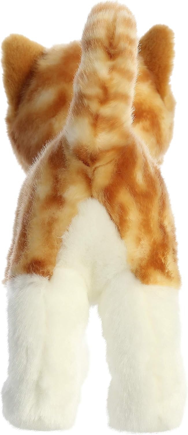 10 Orange Tabby Cat Q101