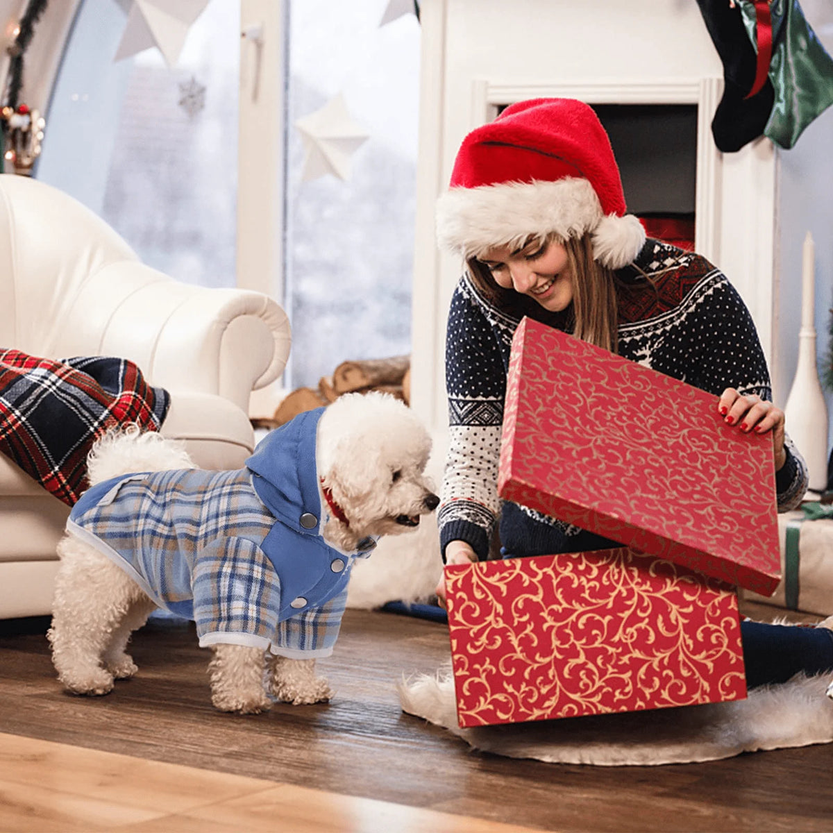 Plaid Dog Winter Coat with Hood Fleece Lining Z55545