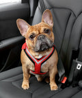 Comfort Safety Dog Harness G1611