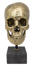Brass Skull on Stand F84988