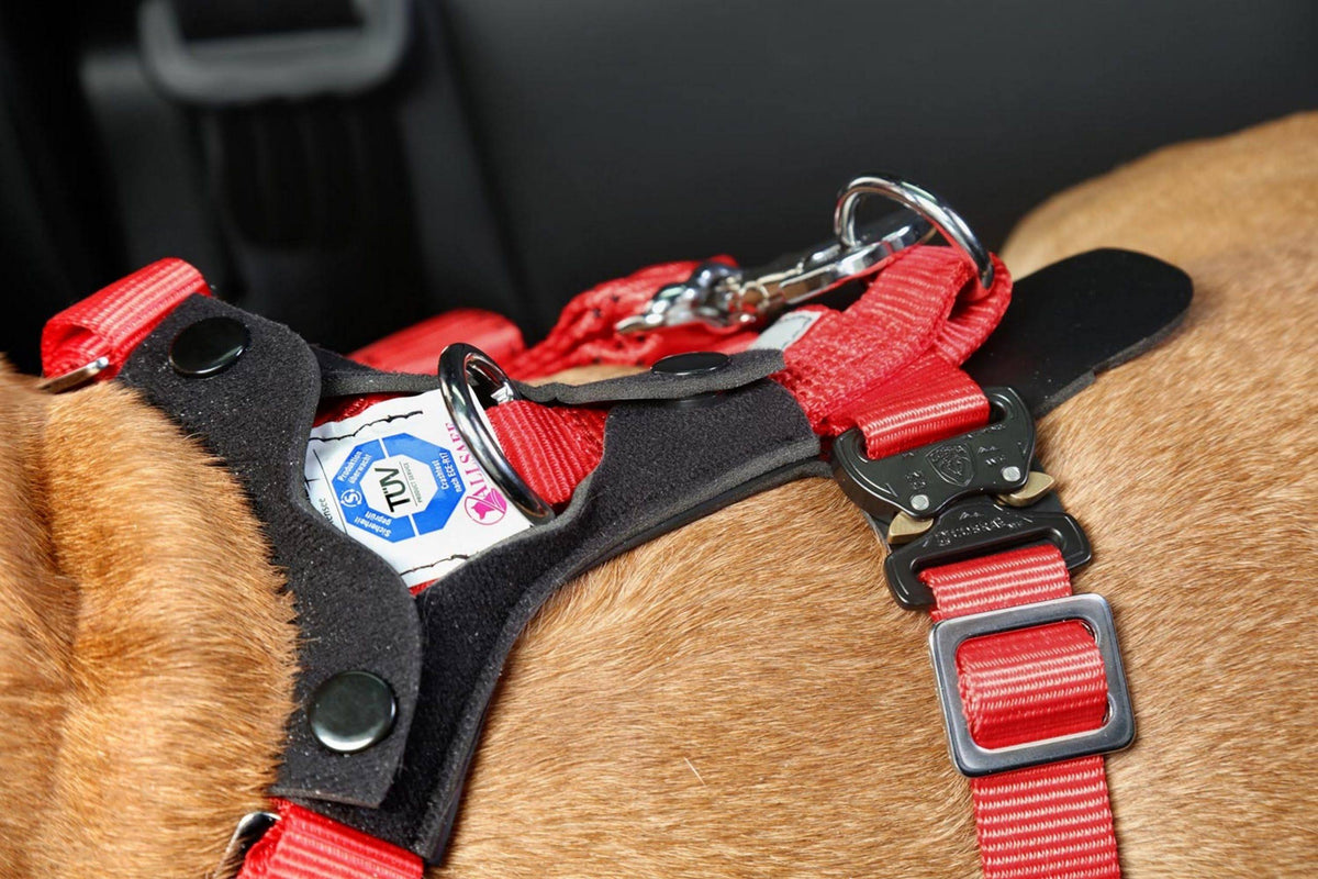 Comfort Safety Dog Harness G1611