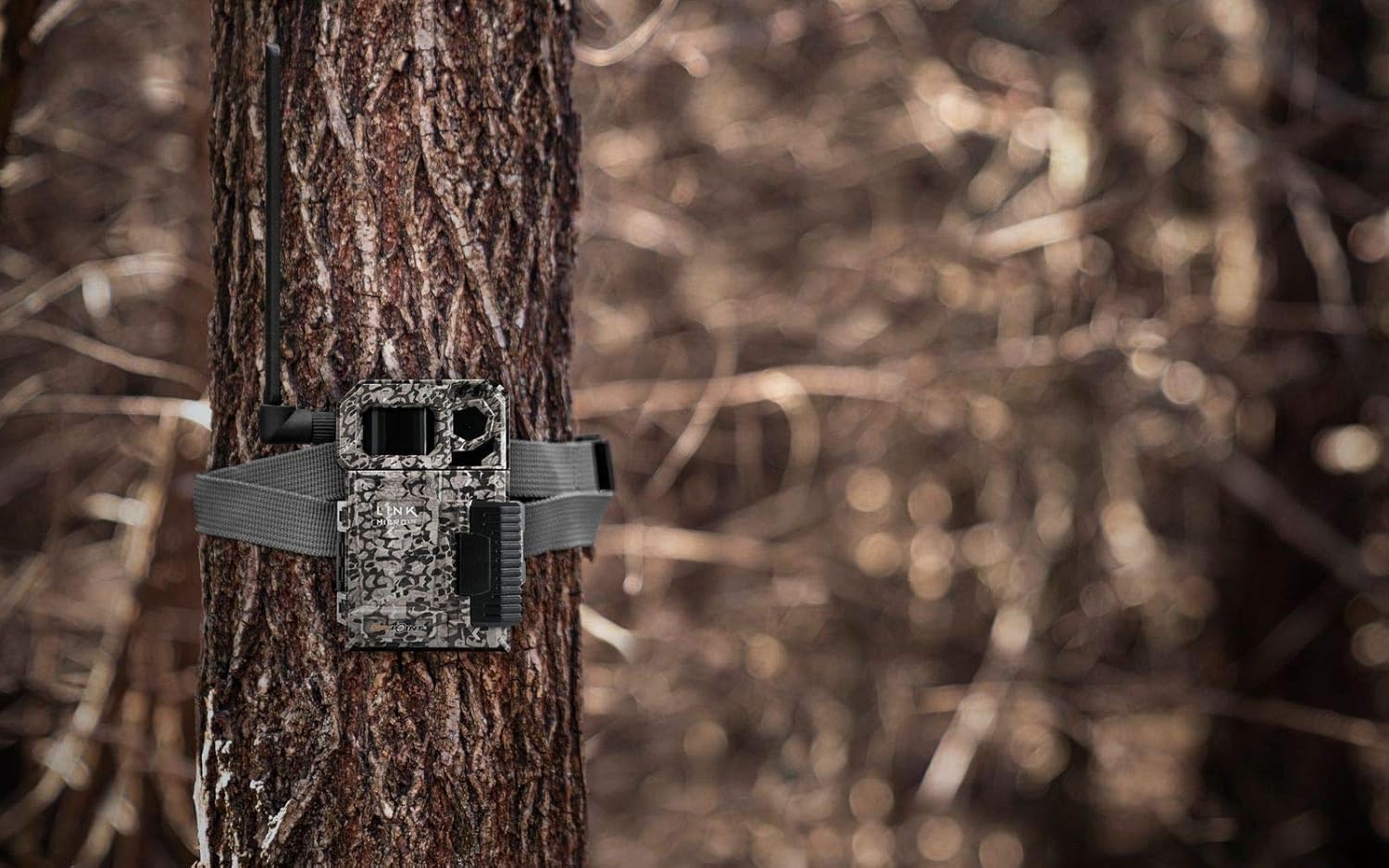 Cellular Trail Camera with Micro SD Card, Card Reader, Batteries, Reinforced Strap, and Microfiber Cloth Screen Cleaner Z313