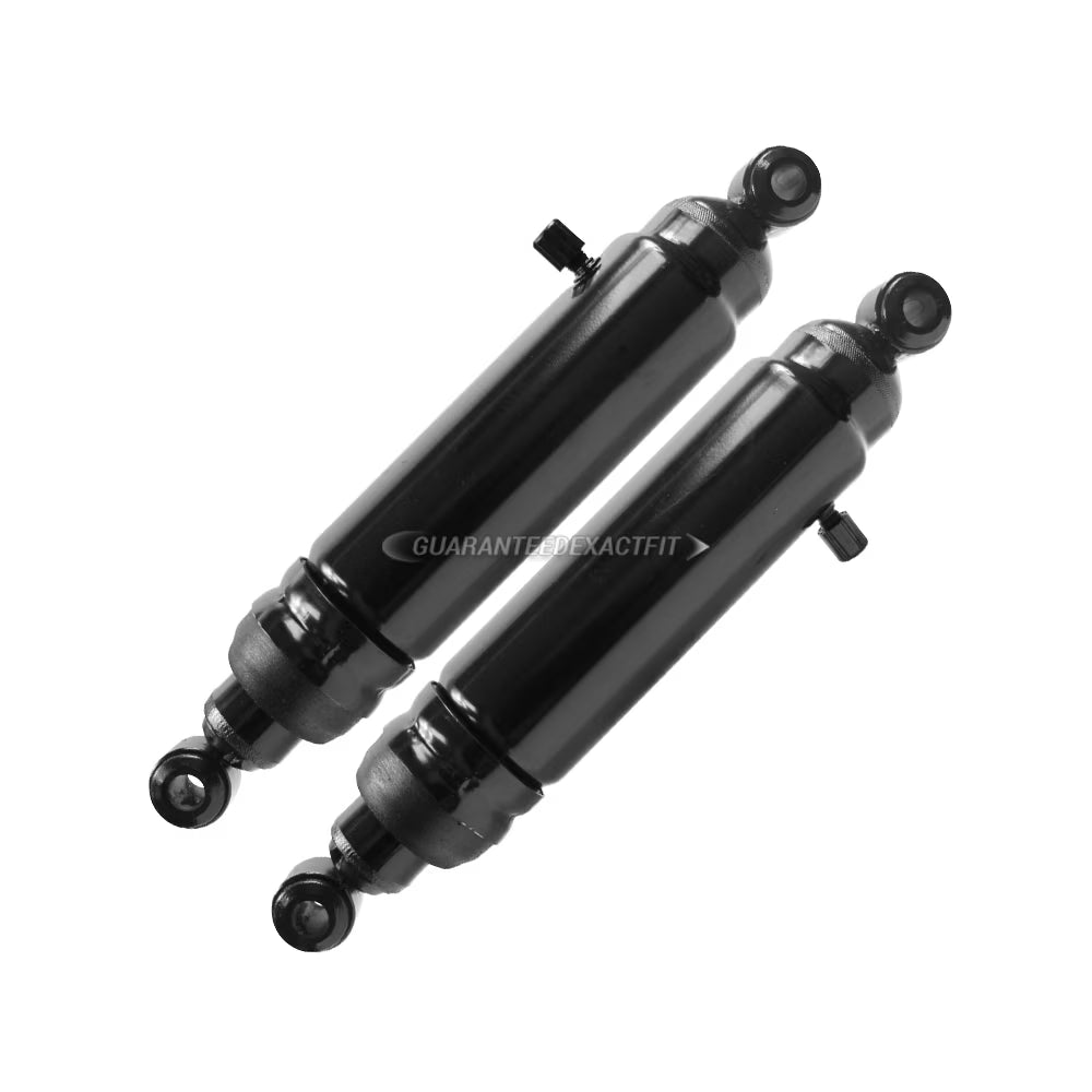 Pair Rear Shock and Strut Set R49884