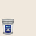 Exterior Paint (5-Gallon) I726