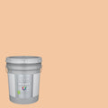Semi-Gloss Pale Apricot Interior Paint (5-Gallon) B13614