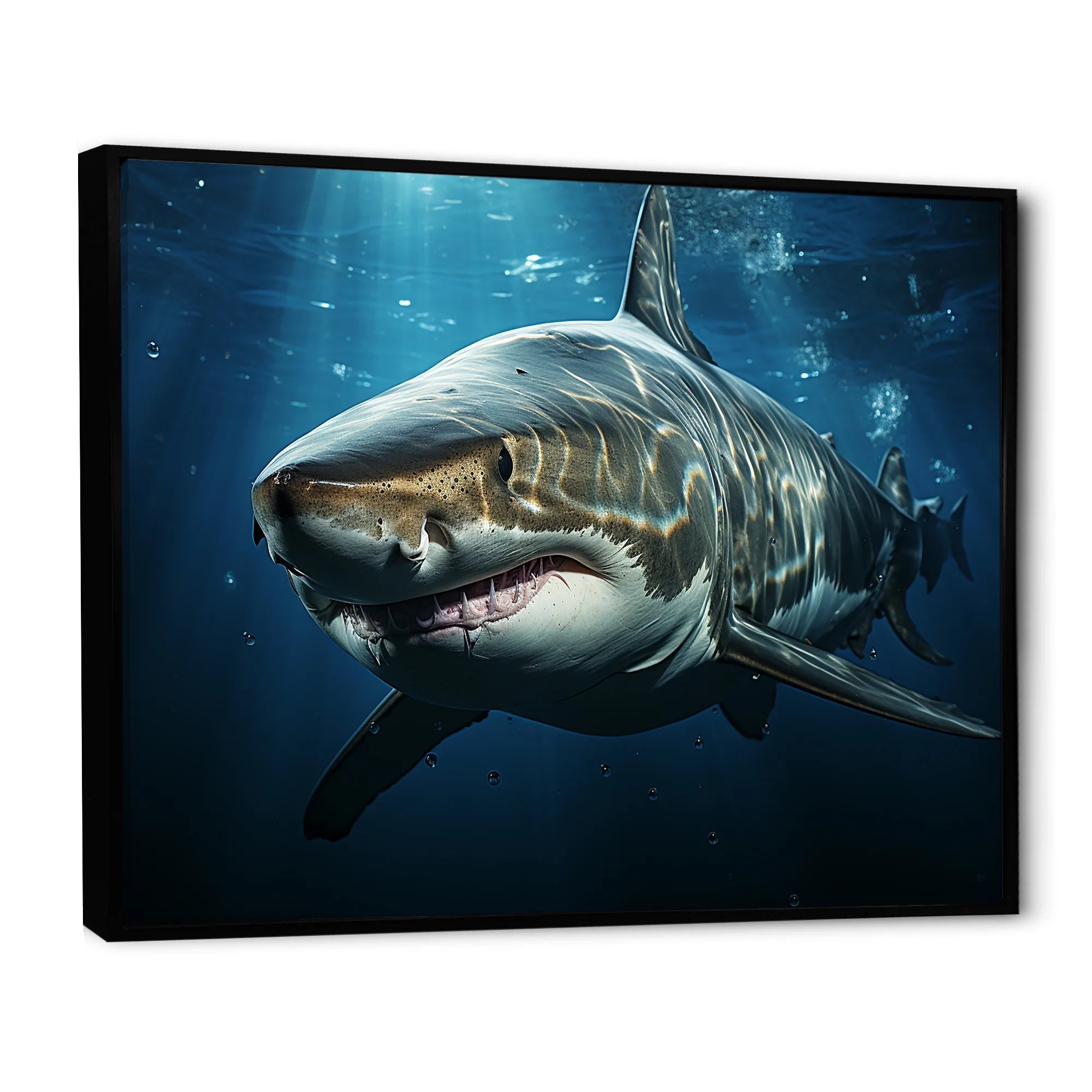Framed Wall Art S94328