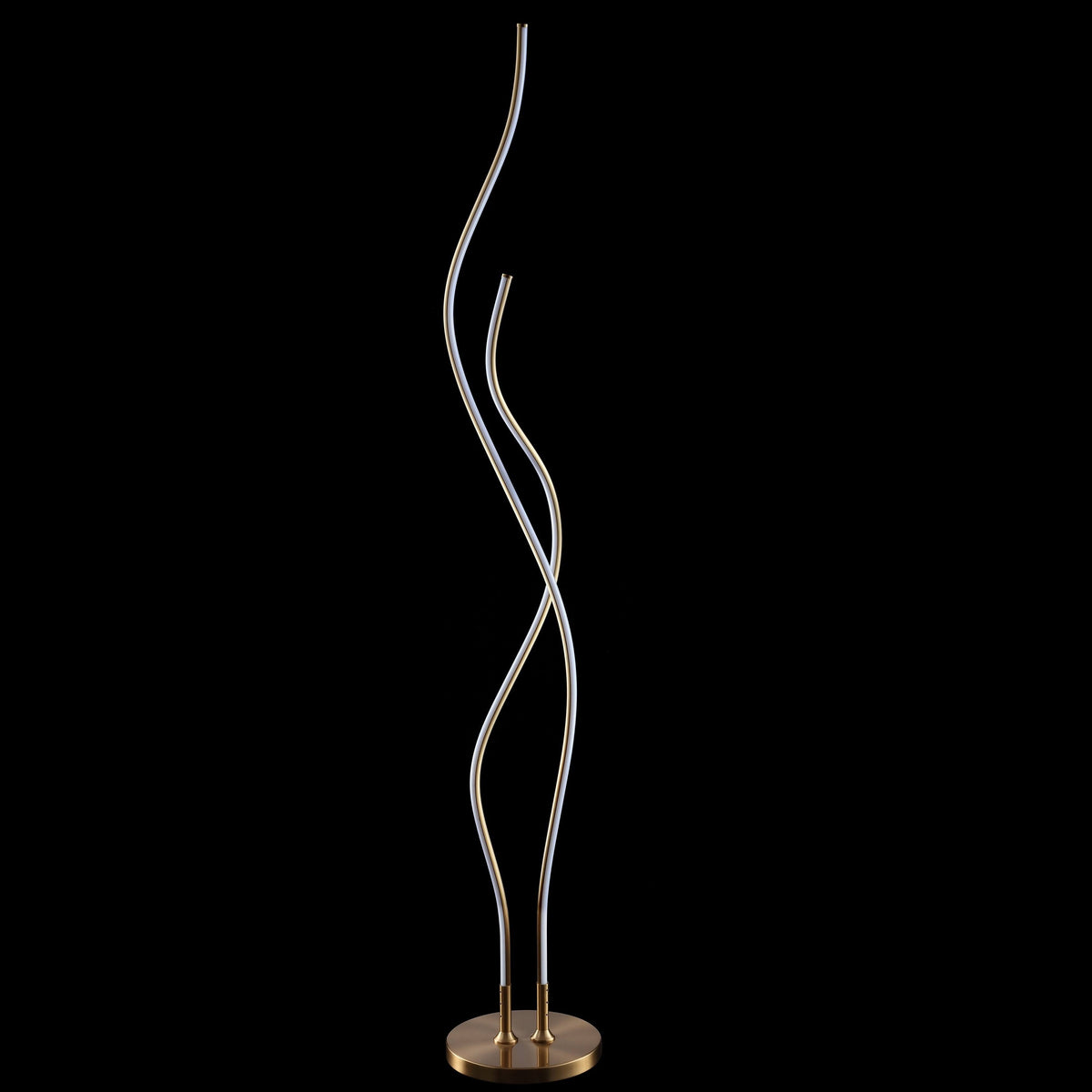 Gold LED Integrated Floor Lamp C436341