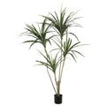 4.5 ft. Yellow Edge Yucca with Pot U56254