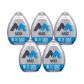 Blueberry Lemonade Liquid Water Enhancer 1.62 oz 5-Pack C322